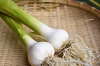 国産生にんにく　無農薬栽培