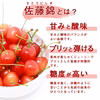 【送料無料】山形県産 さくらんぼ 佐藤錦 500g (Lサイズ バラ詰め 秀品)