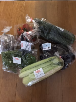 みんなの投稿の画像