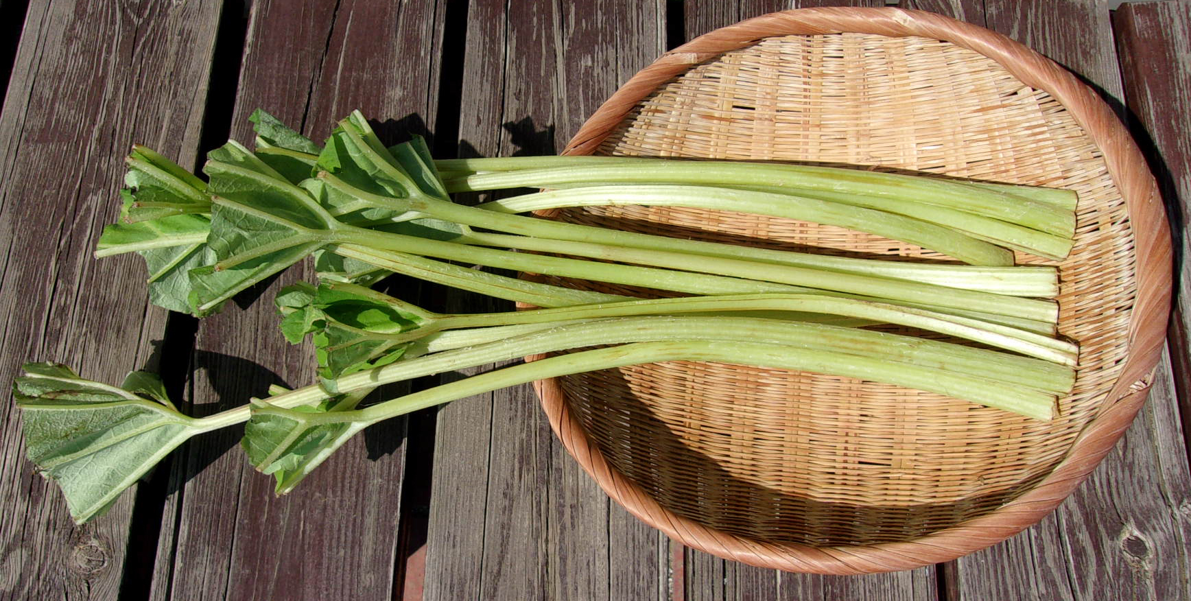 ふきの通販・お取り寄せ商品｜野菜｜ポケットマルシェ｜産地直送