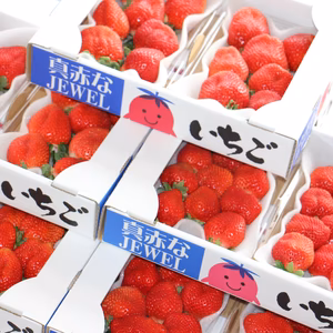 サイズ色々「福岡産いちご」完熟あまおう！（10パック）