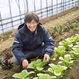高島一嘉 | ピッコラ ファットリア