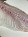【春〜夏までが旬！】イサキ　内蔵ウロコ取り　イワシの舞う島で育てためでたい魚