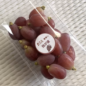 完熟（我が道）粒パック [交配：シャインマスカット×ウインク］ぶどう