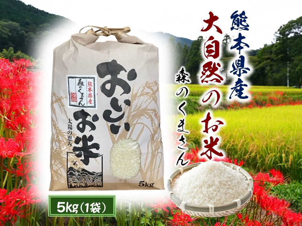農家直送 熊本県産 令和4年産 森のくまさん 30キロ 熊本