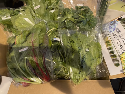 みんなの投稿の画像