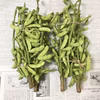自然栽培の枝豆 枝付き★農薬・肥料不使用の茶大豆えだまめ