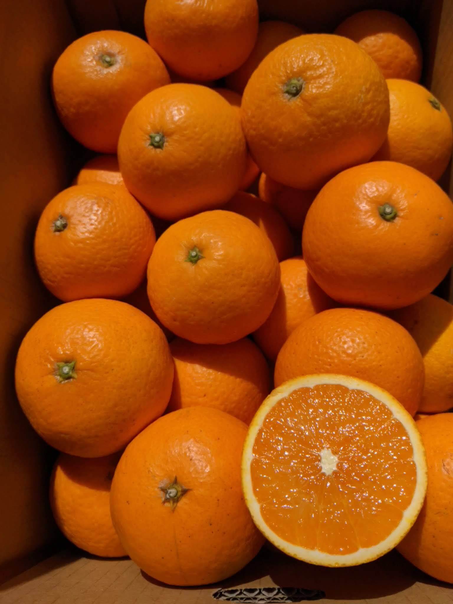 農家直送!きよみオレンジ 3Kg〜≪秀品≫平武農園 一箱(3Kg)