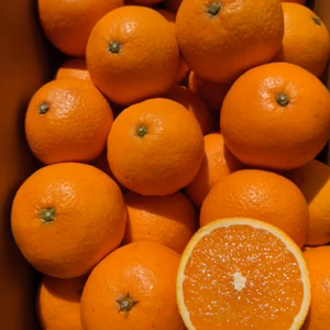 農家直送！きよみオレンジ　３Kg～≪秀品≫平武農園