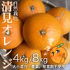 濃厚果汁！自然栽培の清見オレンジ【農薬不使用】