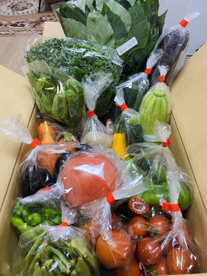 みんなの投稿の画像