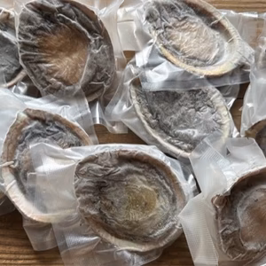 １点物　アワビ　鮑　-60度急速冷凍　10枚で 1300g（傷物、訳あり品）#E