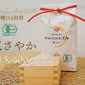 お試しサイズ【無農薬有機栽培】(風さやか/白米)冷めてもおいしい！やめのおおきみ