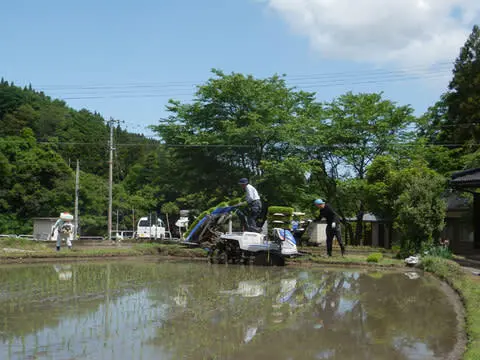 2023年産　特別栽培米コシヒカリ(白米)