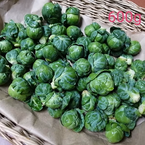 ♦レシピ入り！雪国育ちの芽キャベツ　1袋600ｇ入~5袋までOK