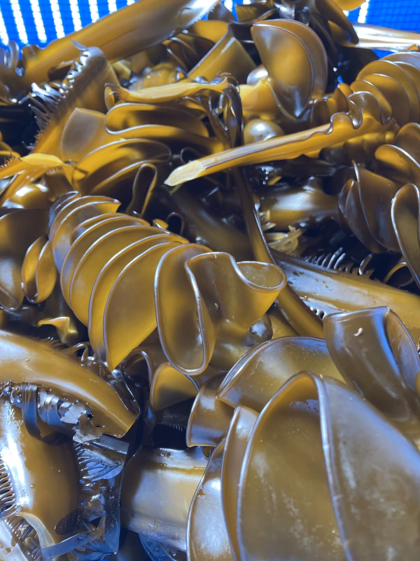 三陸めかぶ　刻み