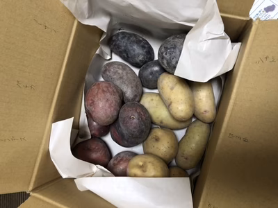 みんなの投稿の画像