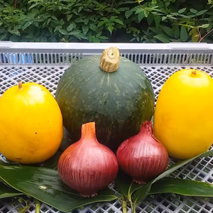 (今が旬、夏野菜３種)セット