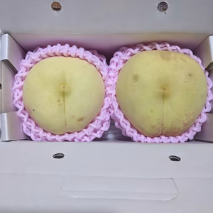 超極晩成品種「名月 」桃【数量限定】朝どり直送便