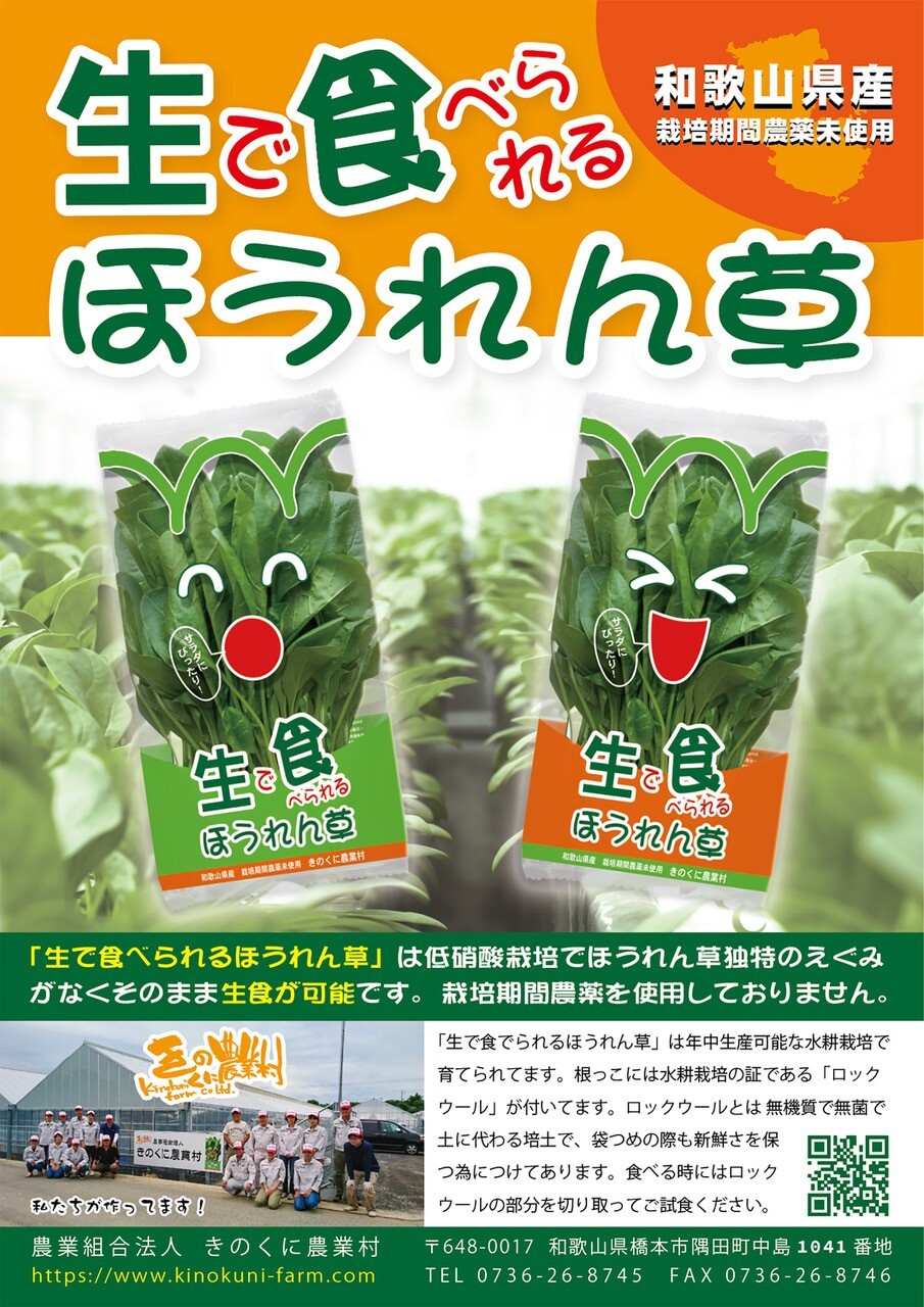 サラダほうれん草｜野菜の商品詳細｜ポケットマルシェ｜産直(産地直送