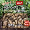 新じゃがいもメークイン(訳あり)無農薬　掘りたて10kg LMS混合サイズ土付き