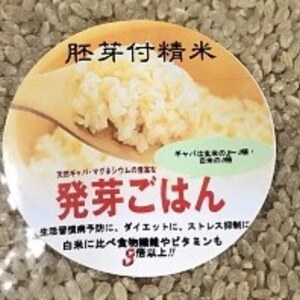 胚芽付き精米❕【令和2年産】ひとめぼれ