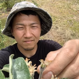 大井文映