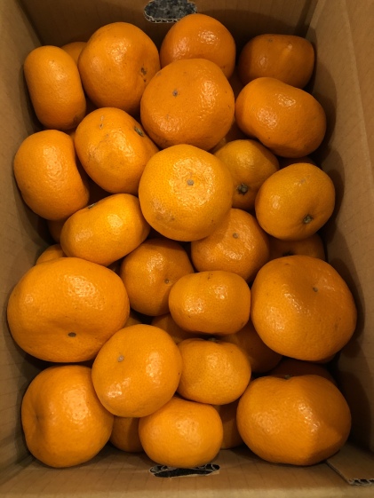 温州みかんの王様 5kg 訳あり寿太郎みかん 農家漁師から産地直送の通販 ポケットマルシェ