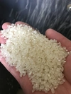 令和４年　新潟産植酸栽培米　ﾐﾙｷｰｸｲｰﾝ 