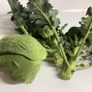 最後1今日出せとかレモン各500ｇブロッコリー２キャベツ１ねぎ合計3kg超