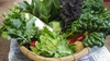 日常使用する野菜を中心とした季節の野菜セットとケール1キロ