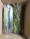 なべくら高原産・ワラビ＆アスパラガス セット