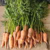 クール便★無農薬で育てた葉つき人参★訳あり規格外★人参の葉　フードロス対策