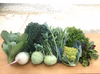 旬の野菜セット　7〜8種類