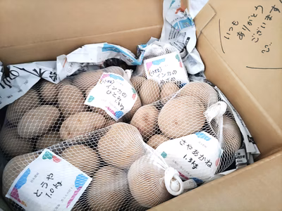 みんなの投稿の画像