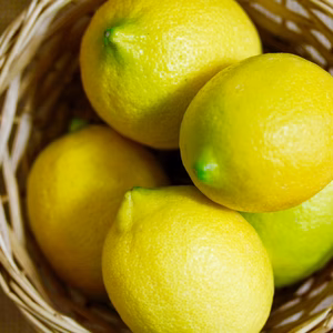 純国産レモン 
