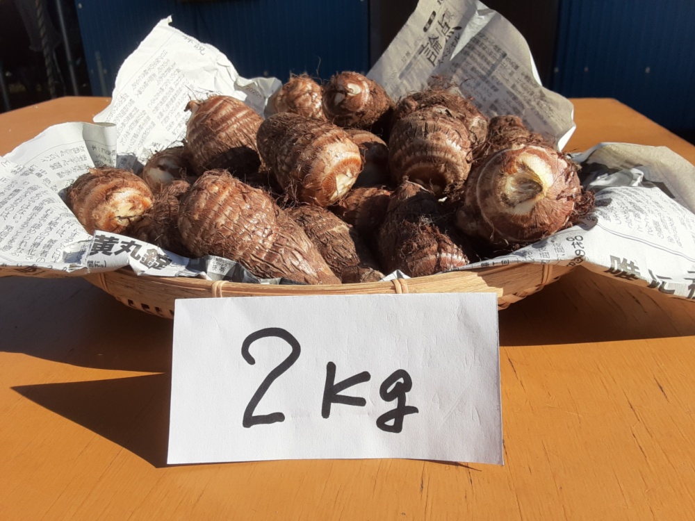 絹のように滑らかな食感がたまらない 絹芋 里芋 農家漁師から産地直送の通販 ポケットマルシェ