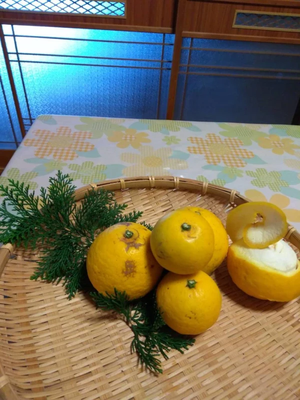 ジュース用ニューサマー オレンジ　限定3箱
