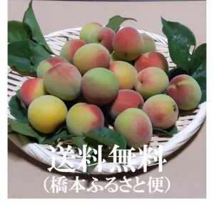 香りただよう青梅（南高・紅さし）L～３L以上（梅酒など）谷奥深産