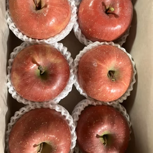 ギフト　樹上完熟サンふじ約2キロ6玉入　贈答用