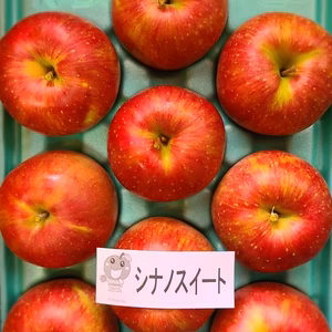 長野県産  シナノスイート   3キロ箱