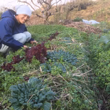 田中達也 | 草創自然農園