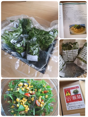 みんなの投稿の画像