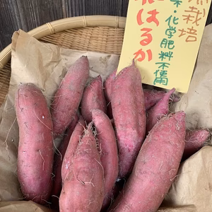 【年末お買い得】　自然栽培　紅はるか５K　さつまいもご飯レシピ付き