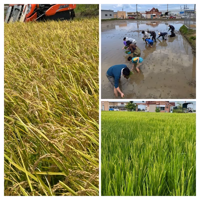 みんなの投稿の画像