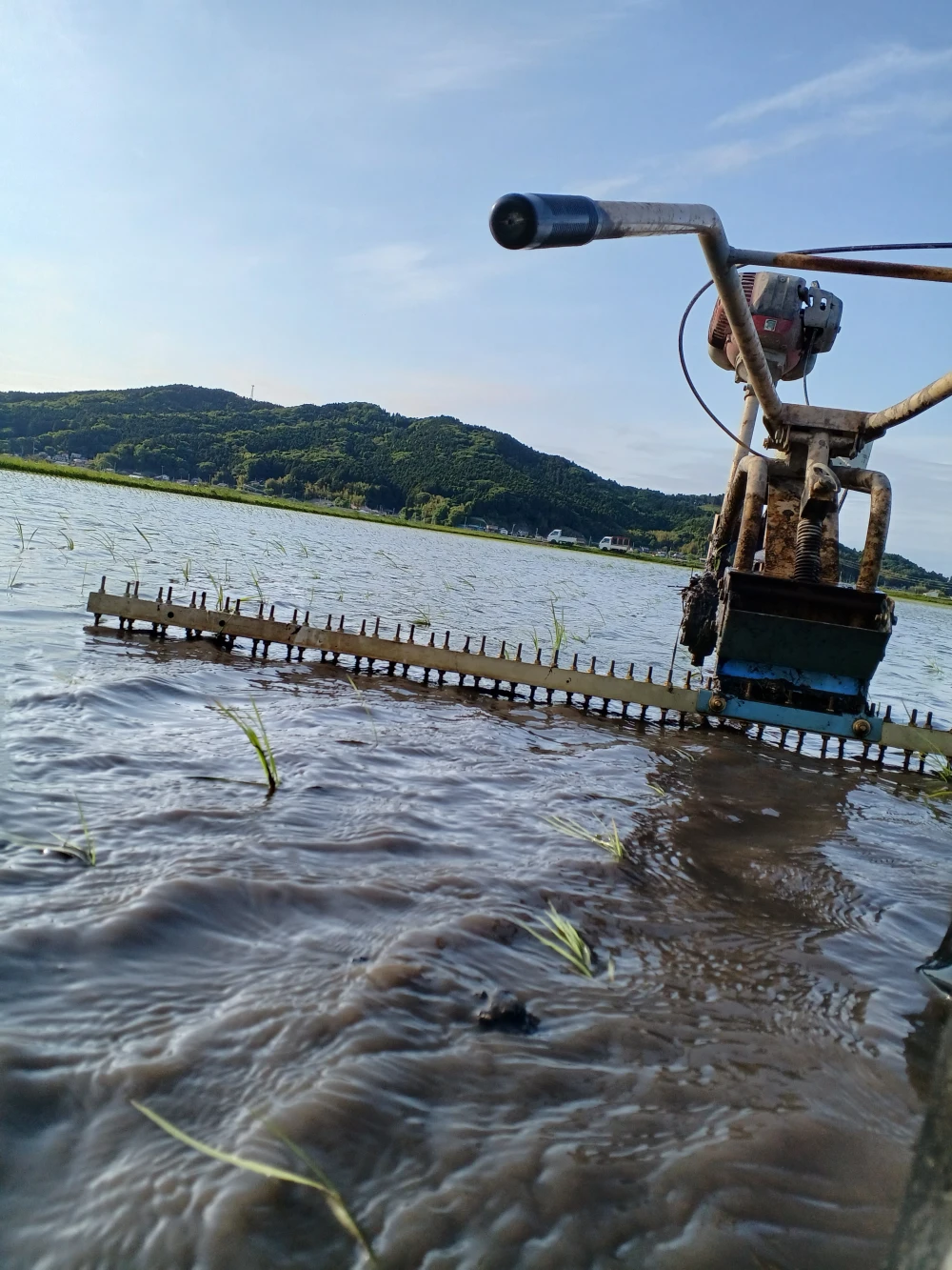自然栽培ササニシキ玄米5㎏  肥料を全く使わずに、田んぼの地力だけで栽培  