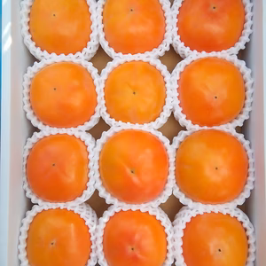 和歌山県かつらぎ町星山産　今年最後の『富有柿』