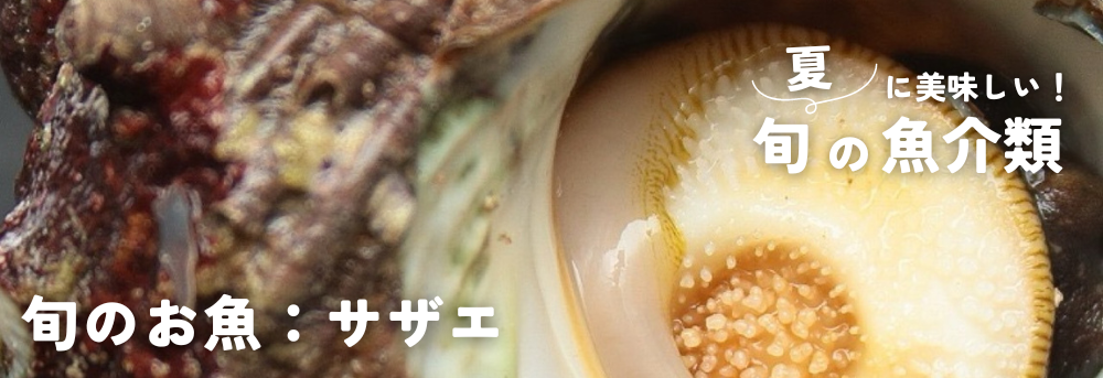 夏に旬の魚介類 サザエ
