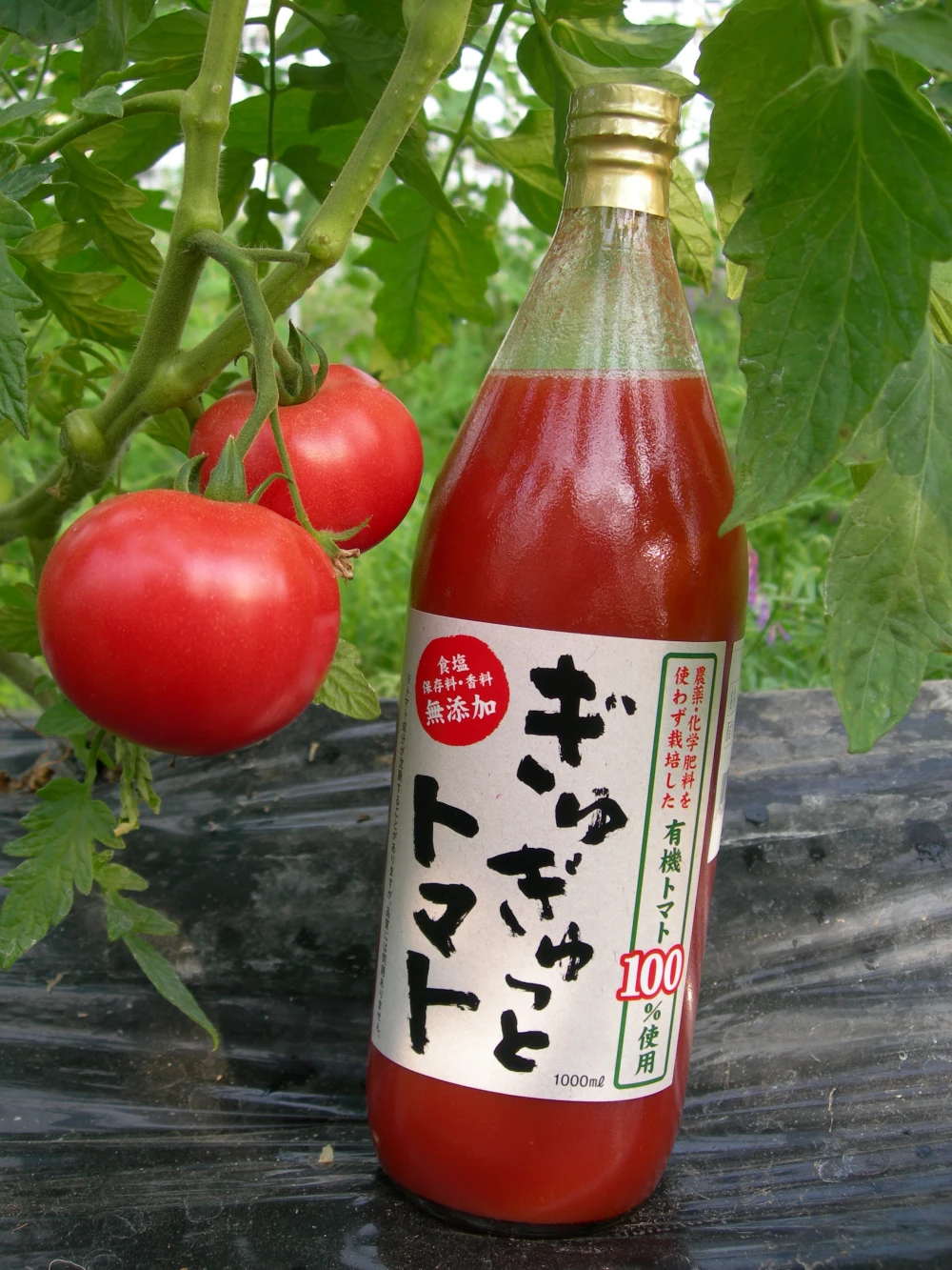 有機トマト100％使用トマトジュース！「ぎゅぎゅっとトマト」1ℓ6本入り