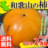 【限定タイムセール×送料無料】柿 訳あり かき 2kg 和歌山 有田の柿